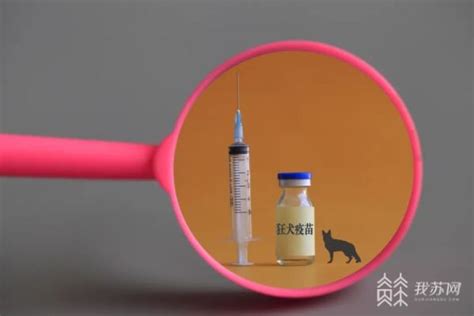 猫抓伤狂犬病几乎为0，不可靠这4种情况必须打疫苗 — 爱达夫养生