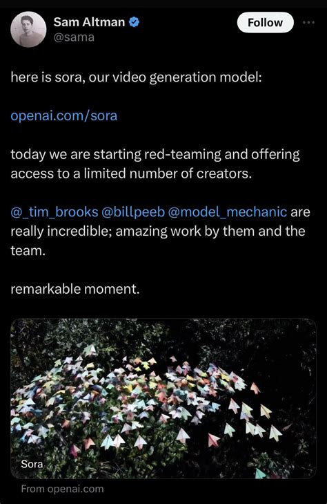 Openai Sora Prompt Engineering Examples 的图像结果