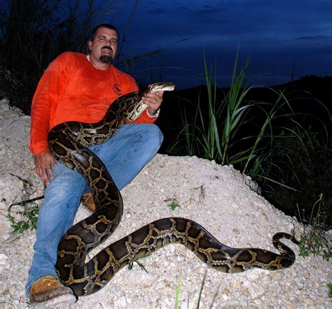 Image result for Florida Burmese Python Hunters
