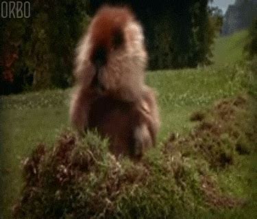 Push Button Caddyshack Dancing Gopher 的图像结果