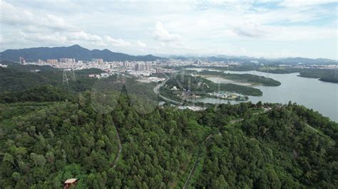 从城市到自然 记深圳石岩河湿地改造提升工程-新闻资讯-杭州市园林绿化股份有限公司