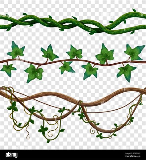 Vine Borders Clip Art