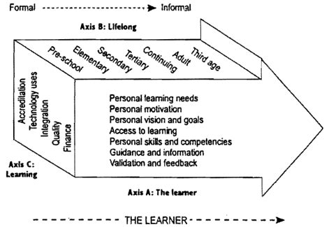 Life Time Learning Process 的图像结果