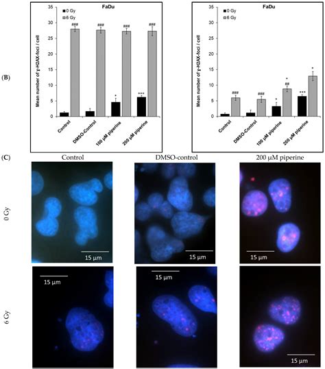 Pepper Alkaloid Piperine Increases Radiation Sensitivity of Cancer ...