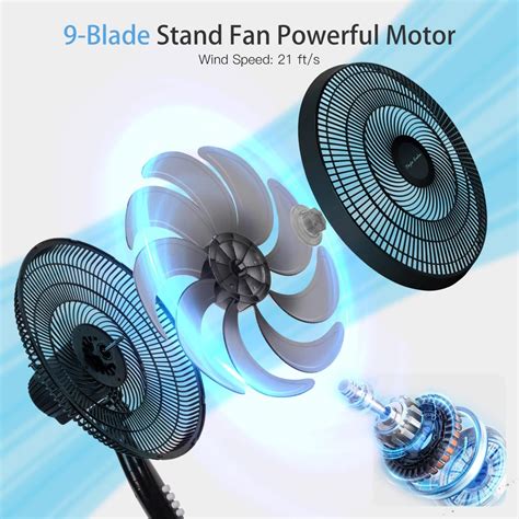 Taylor Swoden 16 Inch Oscillating Standing Pedestal India | Ubuy