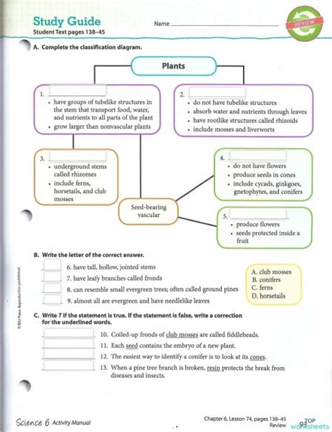 Current Lesson Study Guide PDF 的图像结果