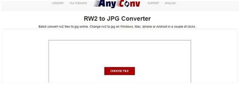 Best 10 RW2 to JPG Converters Online for Free