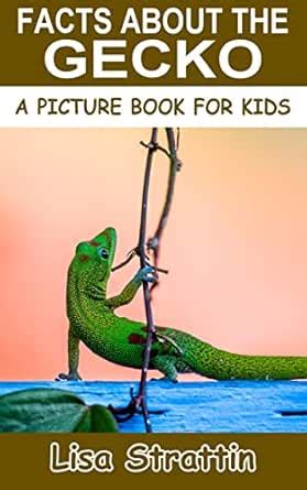 Facts About the Gecko (A Picture Book For Kids 196) eBook : Strattin ...