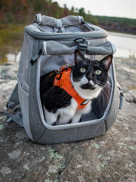 "The Navigator" Convertible Cat Backpack - For Adventurous Cats and Hu ...