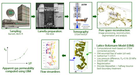Transport Simulations on Scanning Transmission Electron Microscope ...