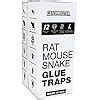 Buy Catchmaster Baited Rat, Mouse and Snake Glue Traps - 12 Glue Trays ...
