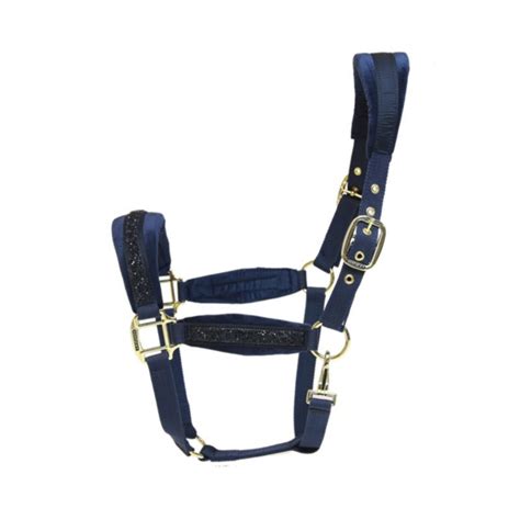 Image result for Licol Cheval