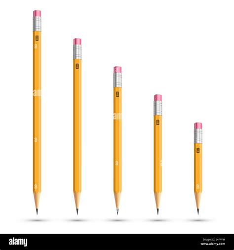 Standard Length Of Pencils at Peggy Bergmann blog