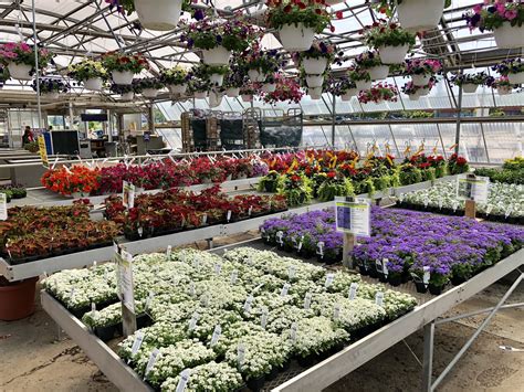 BORDINE'S OF ROCHESTER HILLS - Rochester Hills MI - Hours, Directions, Reviews - Loc8NearMe