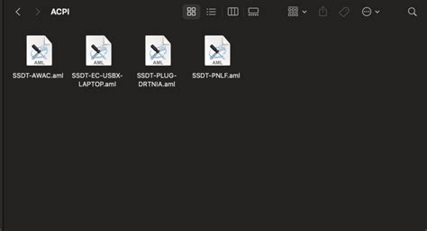 iATKOS Inside: ACPI Error when trying to boot macos installer
