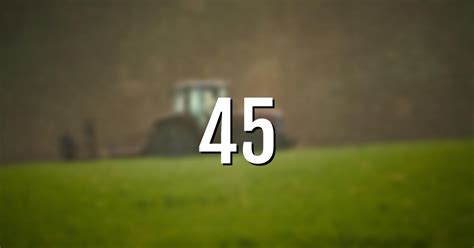 Code 45 的图像结果