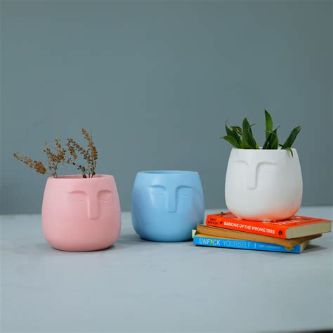 Doux combo - Combo of 2 Desk Planters