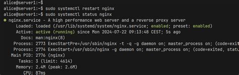 Image result for Visual Studio Code and Nginx
