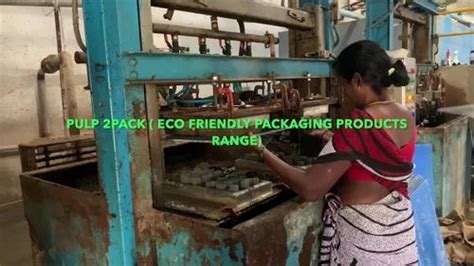 Molded Pulp Tray - Paper Pulp Shoe Filler Or Shoe Tree Manufacturer ...