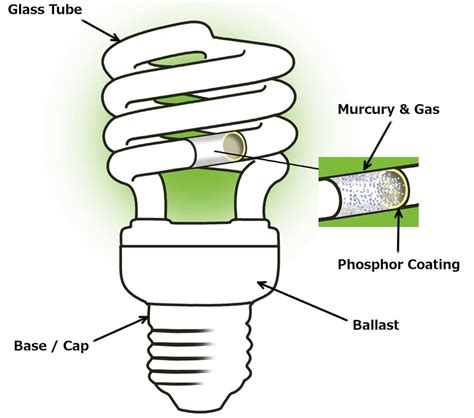 Image result for Types of Light Bulbs Explained