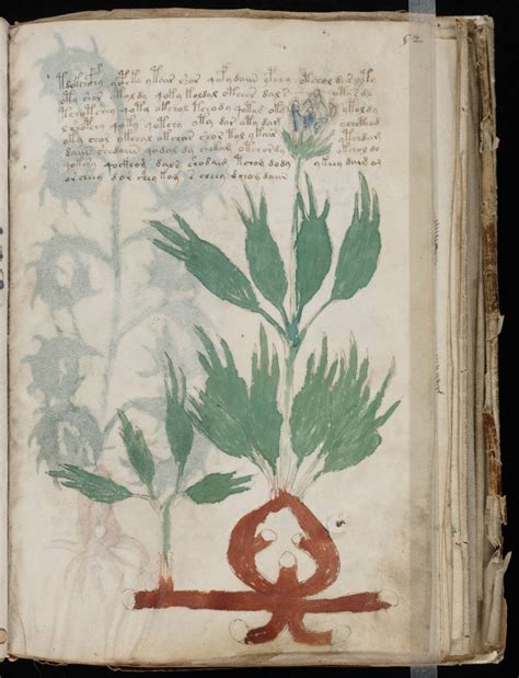 Voynich Manuscript: The best codebreakers have tried and failed to ...
