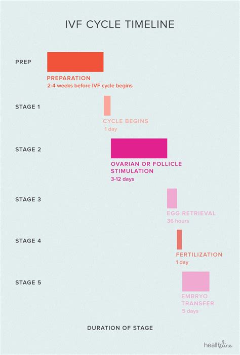 The 30-Day Guide to IVF Success: Diet, Chemicals, Sex, and More