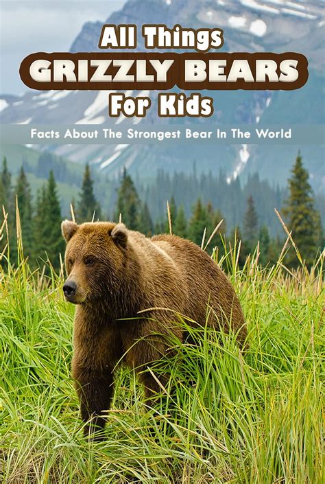All Things Grizzly Bear For Kids: Grizzly Bear Facts About The ...