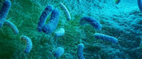 Climate change: More Tamil Nadu children at diarrhoea risk