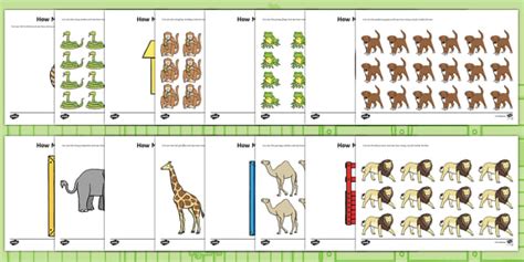 How Many ESL Worksheet - Fit Animals in the Box Game