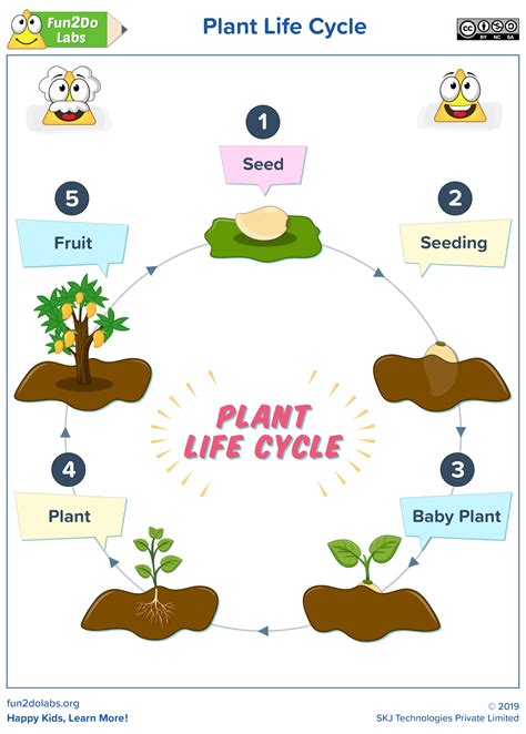 Free Plant Life Cycle Worksheet Printables - Printable New Year Banners