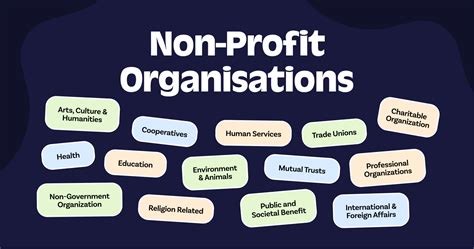 Non-Profit Organization 的图像结果