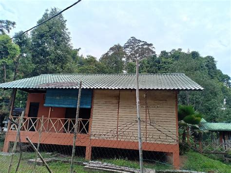 Bera Lake (Teriang) - 2022 What to Know Before You Go (with Photos ...