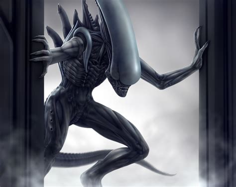 xenomorph and proto-xenomorph (alien and 1 more) drawn by groomlake ...