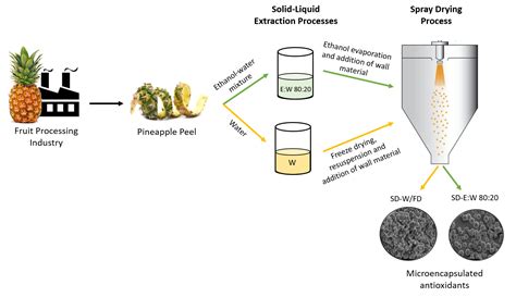 Optimization of Natural Antioxidants Extraction from Pineapple Peel and ...