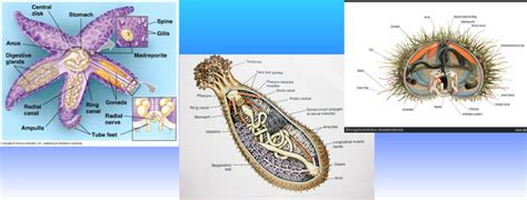 Image result for Identifier Variable Definitions and Key Examples