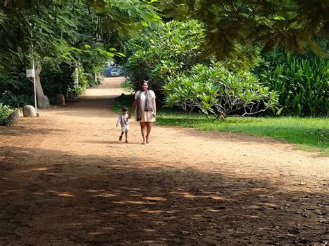 THE DUNE ECO VILLAGE AND SPA (Khizapurpattu) - Resort Reviews, Photos ...