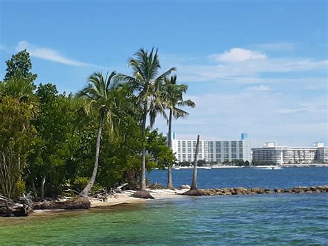TRANQUILITY CATAMARAN - All You Need to Know BEFORE You Go 2026 (with ...