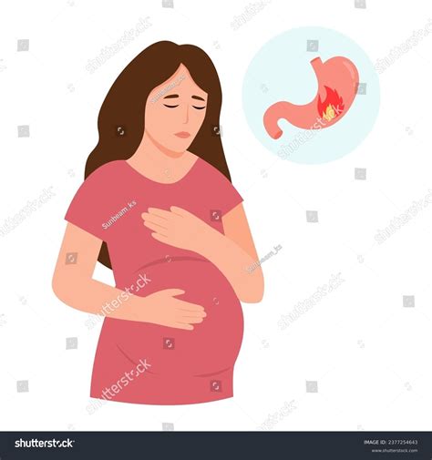 Pregnancy Heartburn: Over 182 Royalty-Free Licensable Stock Vectors & Vector Art | Shutterstock