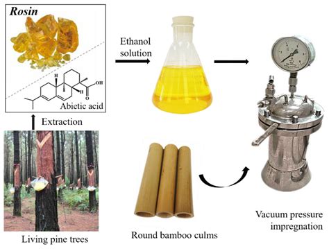 Effect of Rosin Modification on the Visual Characteristics of Round ...