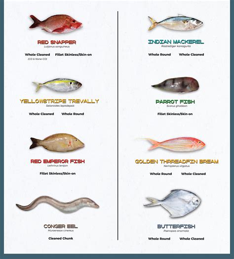 WILD-CAUGHT FISH - AN TIN FOODS | Hotline: (+84) 909 680 089