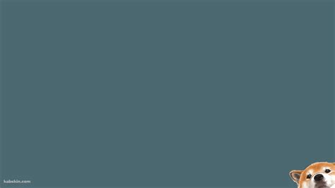 Image result for Web Scraper Using Python Jupiter Lab