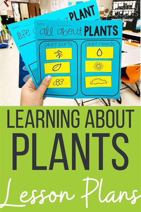 Image result for Plant Lesson First Grade