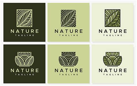 Nature Logo Design PNG 的图像结果