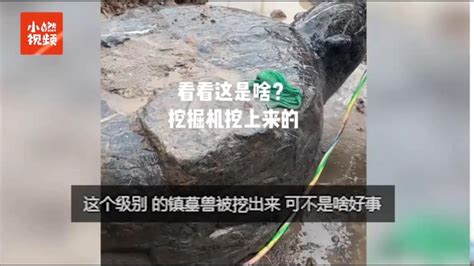 河南一村庄修路挖出大石龟，花纹清晰可见：价值有待考证和鉴定 - YouTube