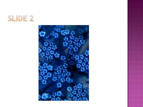 Image result for Basic PowerPoint Tutorial