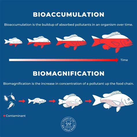 What the Watershed Means to Me — Friends of the Big Sioux River
