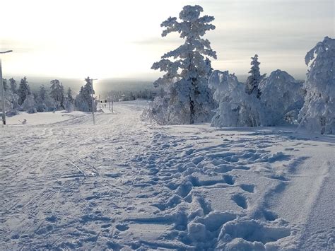 Lapland Safaris Saariselka - All You Need to Know BEFORE You Go