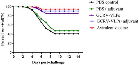 Recombinant Baculovirus-Produced Grass Carp Reovirus Virus-Like ...