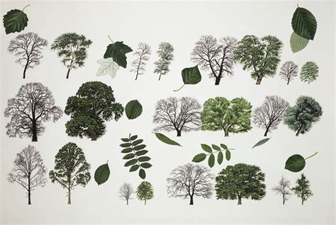 Tree 的图像结果