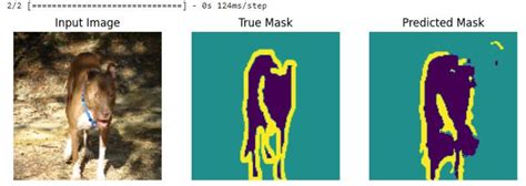 Image Segmentation Using Unet Tensorflow 的图像结果